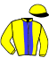 Casaque du jockey de Falcon Jet