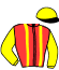 Casaque du jockey de Ideal D'Artonges