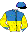 Casaque du jockey de Dauphin Joyeuse