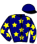 Casaque du jockey de Golden Visais