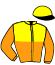 Casaque du jockey de Igor Vicking