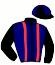 Casaque du jockey de Ironie Du Rabutin