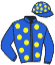 Casaque du jockey de Mister Du Brizais