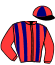 Casaque du jockey de Style De Way