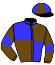 Casaque du jockey de Iros Du Goutier