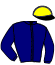 Casaque du jockey de Lionel Du Derby