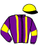 Casaque du jockey de Great Kills