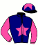 Casaque du jockey de Ireland Team