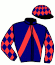 Casaque du jockey de Guepard Griff