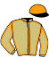 Casaque du jockey de Lord Du Guelier