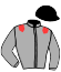 Casaque du jockey de Libre De L'Etre