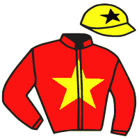 Casaque du jockey de Jacobin