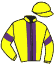 Casaque du jockey de Poupem