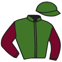 Casaque du jockey de Etel Du Ninian