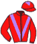 Casaque du jockey de La Rochette