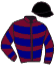 Casaque du jockey de Dashka