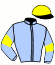 Casaque du jockey de Irish Chanel