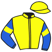 Casaque du jockey de Hygrove Bec