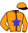 Casaque du jockey de Lyana D'Arc