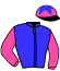 Casaque du jockey de Logis