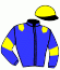 Casaque du jockey de Hurricane France