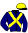 Casaque du jockey de Lalann Du Guesclin