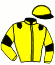 Casaque du jockey de Joe Tejy