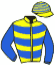 Casaque du jockey de User Kindly