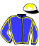 Casaque du jockey de Calbigny