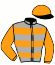 Casaque du jockey de Vitesse