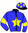 Casaque du jockey de Holy Roman Emperor