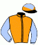 Casaque du jockey de Ginja Des Taillons