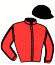 Casaque du jockey de Loustic D'Yvel