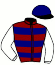 Casaque du jockey de Richmond