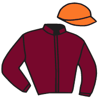 Casaque du jockey de Saint Sire