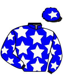 Casaque du jockey de Dahman Al Shahania