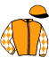 Casaque du jockey de Rochelle