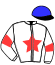 Casaque du jockey de Shamsoun