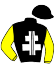 Casaque du jockey de Gold Palace