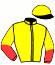 Casaque du jockey de Marie D'Argonne