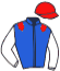 Casaque du jockey de Hatfaville