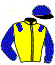 Casaque du jockey de Havoc