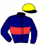 Casaque du jockey de Baliros