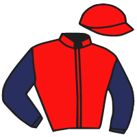 Casaque du jockey de Carlston