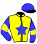 Casaque du jockey de Herbager Vrac