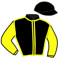 Casaque du jockey de Hemevez