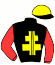 Casaque du jockey de Hilaire Des Plans