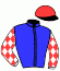 Casaque du jockey de Jardin Bleu