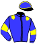 Casaque du jockey de Lewis Des Bordes