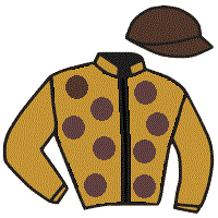 Casaque du jockey de Windjana